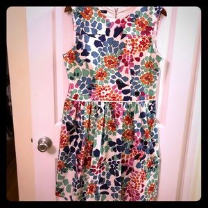 Colorful floral pop print Blue + Ivy dress Size 14